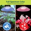 GT-Lite 33W LED Plant Grow Light Bulbs Full Spectrum with