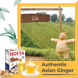 HOTTA Instant Ginger Drink With Zinc & Vitamin C Hot or Cold No Sugar Caffeine Free Tea Soothes Throat Easy Brewing Low Calories Real Asian Ginger, 10 Sachets