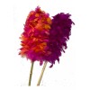Macoll Plumero Sacudidor Pluma Natural Colores Largo 52 Cm (2