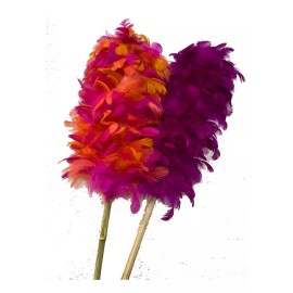 Macoll Plumero Sacudidor Pluma Natural Colores Largo 52 Cm (2 Pzas)