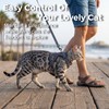 pangdi Cat Harness and Leash Set, Lightweight Air-Mesh Cat Vest,