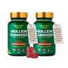 Youthfull Roots Mullein Gummies (2 Pack, Strawberry)