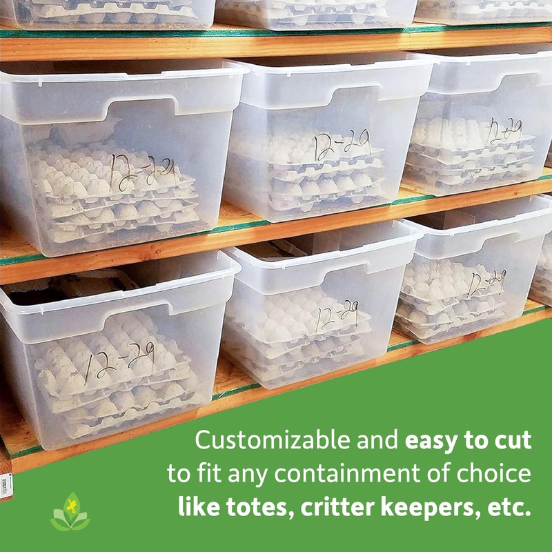 Josh's Frogs Egg Flats for Feeder Insect Colonies (15 Count)