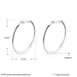 Rockyu Jewelry Brand Hoop Earrings, Platinum, Women's, Large, Pink Gold, 18K Gold, Removable, Accessory, Platinum Stainless Steel