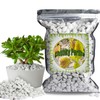 Doter Organic Chunky Perlite for Plants (0.4"-0.8" in Diameter), Natural