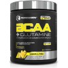 Forzagen Aminoácidos Bcaa+glutamine 330g | Complejo Hydragen