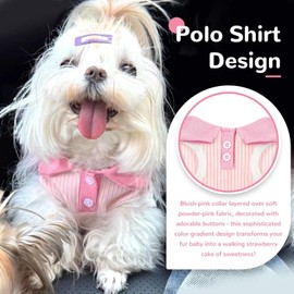 AXIIJGL Dog Tshirts for Small Dogs Polo Shirt Stretchy Dog T Shirt Breathable Dogs Cooling Vest Sweatshirts Girl Boy Puppy Dachshund French Bulldog Frenchie Chihuahua Pet Clothes
