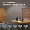 Clock Radio Alarm Bedside with Bluetooth Speaker, Radio Alarm Clock