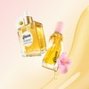 Gisou Honey Gloss Duo – Honey Infused Hair Oil &