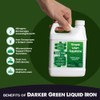 Simple Lawn Solutions - Liquid Iron Fertilizer Darker Green -