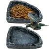 Reptile Water Dish Food Bowl, 2 Pack Reptile Feeding Dish