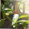 BESPORTBLE 100pcs Plastic Plant Clip Tomato Stakes and Supports for