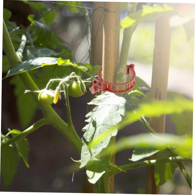 BESPORTBLE 100pcs Plastic Plant Clip Tomato Stakes and Supports for