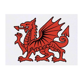 'Welsh Red Dragon' Temporary Tattoo - Water Resistant, Skin-Safe, Non-Toxic Transfer (TO00076059)
