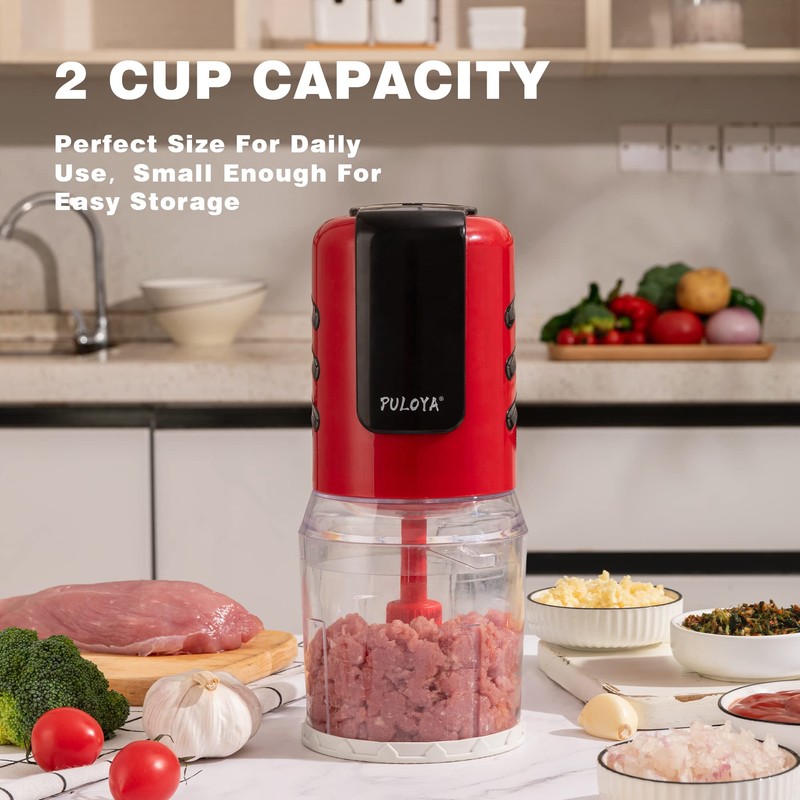 PULOYA Mini Prep Food Processor 2 Cup Small Electric Food