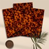 TOEPODO Tortoise Shell Cast Acrylic Sheets 1/8 Thick Acrylic Leopard