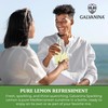 Galvanina Lemon – Organic Italian Sparkling Soda, 12 fl oz