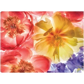 Fine Art Canvas Botanical VIII Canvas Wall Decor by Artist Dennis Frates for Living Room, Bedroom, Bathroom, Kitchen, Office, Bar, Dining & Guest Room - Ready to Hang - 32 in x 24 in