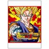 Data Carddass DRAGON BALL Z II Card Sleeve