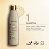 Shea Butter Coconut & Marula Oil Shampoo 355 ml