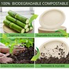 48 Pack Oval Paper Plates 12 Inch 100% Compostable Heavy-Duty