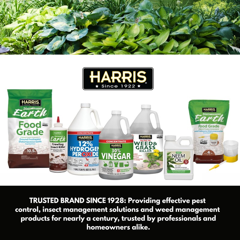 Harris Carpenter Ant Killer & Termite Control Treatment, Kills On