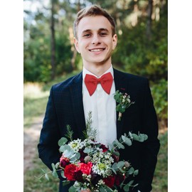 Luckyvestir Oversized Bow Ties for Men, Pre Tied Men's Bowtie Big Bow tie for Tuxedo,Wedding, Formal Wear