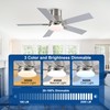 Rayqueen 42 Inch Ceiling Fans with Lights and Remote,Flush Mount