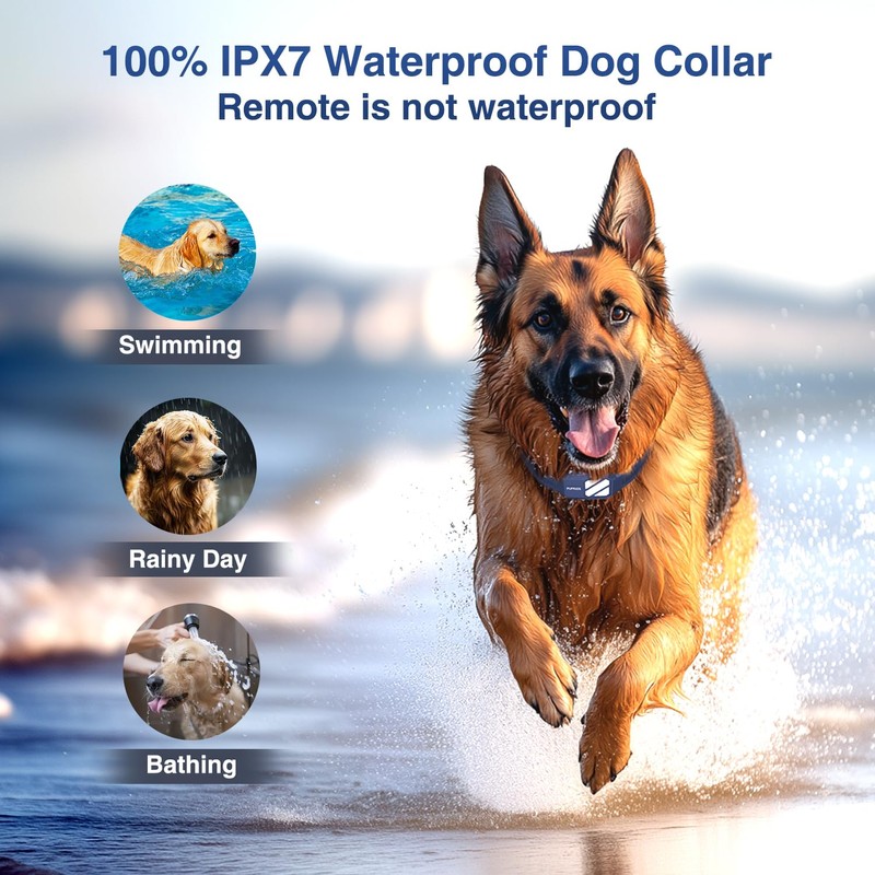 Dog Shock Collar - 4200FT Dog Training Collar with Remote