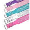 BTDCFY Rhinestones Dog Collars-2" Wide Crystal Diamonds Studded PU Leather