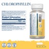 Chlorophyll - 60 Vegan Tablets not Capsules - High Strength
