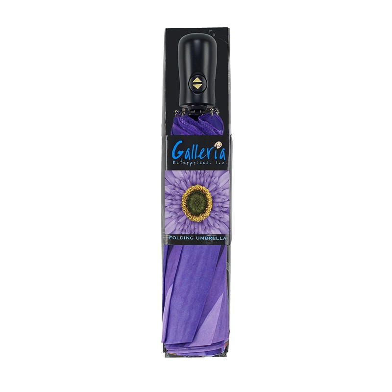 Galleria-Wisteria Daisy Auto-Open/Close Large Portable Rain Folding Umbrella