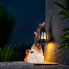 Quterhero Solar Fox Gnomes Garden Statue with Lantern, Outdoor Resin