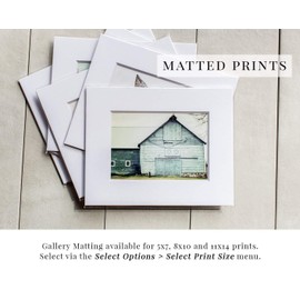 Modern Black and White Floral Set of 4 Prints (Not Framed). Modern French Country Bedroom, Bathroom, Dining Room Wall Art in Grey. 5x7, 8x10, 11x14, or 16x20. (FBM4L)