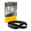 CONTITECH CT1051 Zahnriemen