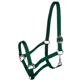 York Nylon Headcollar Headpiece Adjustable with Sliding Buckle Harmony Horse Halter (Pony, Dark Green)