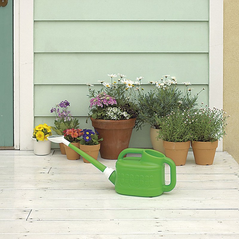 Dragonfly Watering Jug 2 Notebook