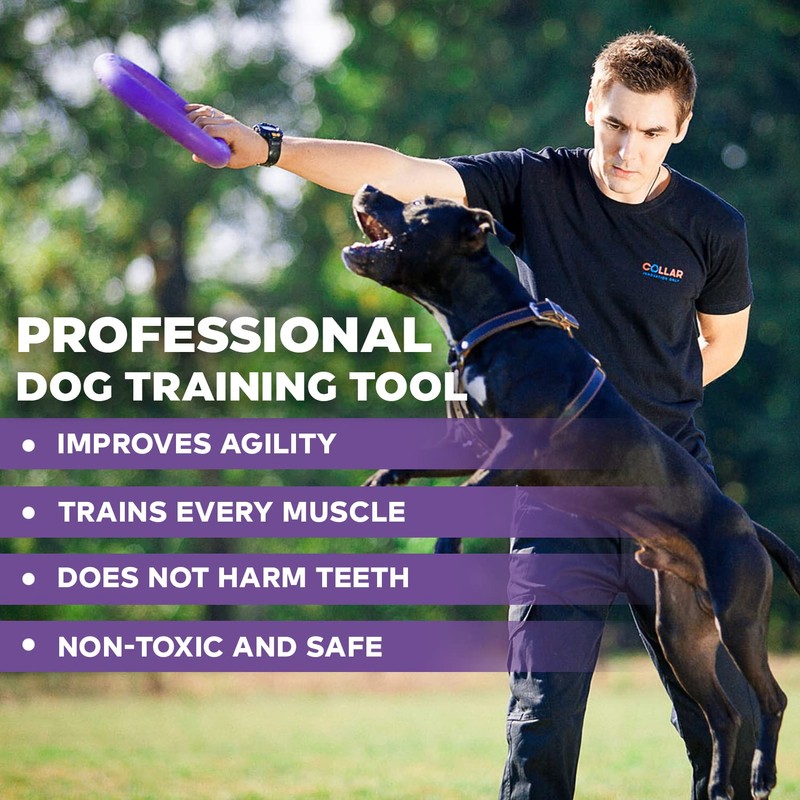 PULLER Midi Interactive Dog Toy Fitness Tool Set, purple