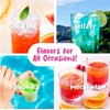 Hawaiian Shaved Ice Syrup Set - 3 Flavors (Cherry, Blue