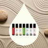 Plant Therapy Chakra Synergy Blends Complete Roll-On Set 100% Pure,