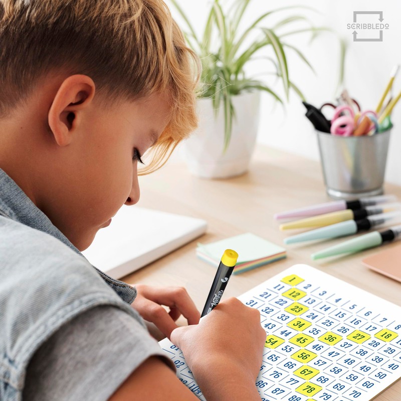 SCRIBBLEDO Dry Erase Number Chart 9”x12” White Board Teacher Student