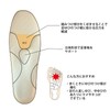 Shoesfit.com(シューズフィットドットコム) 村井 インソールプロ(靴用中敷き) 中足骨頭部痛対策 レディス・女性用 S(22~22.5cm)