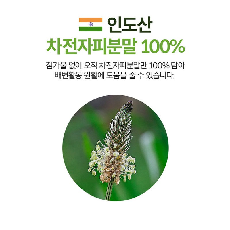 Daewoong Life Science Premium Psyllium Husk Dietary Fiber 6g /