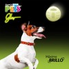 Fancy Pets Juguete Pelota Glow para Perro Que Brilla en