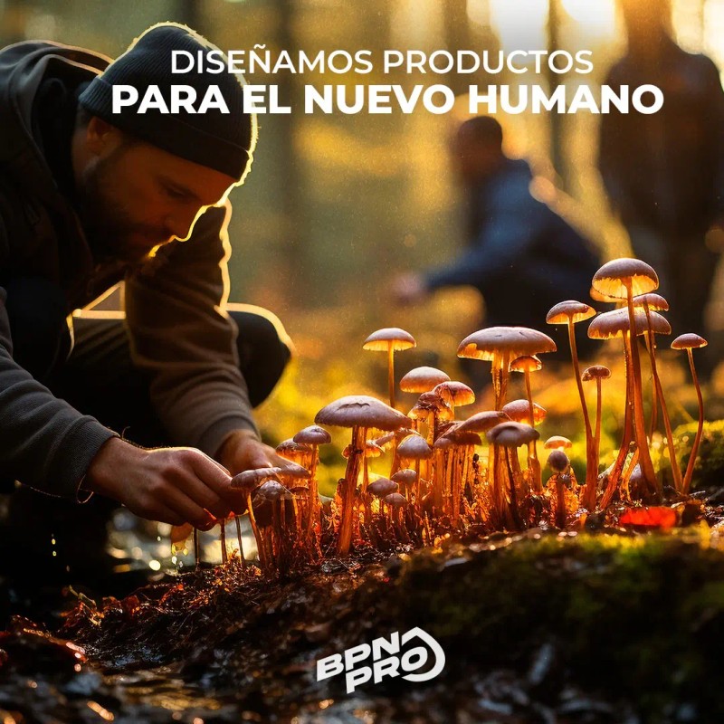 Nootrópico Bpn Pro Melena León Omega Memoria Concentración Energía Cápsulas