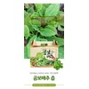 Morel Cabbage Dried Morel Cabbage Syrup Baeam Chazugi Gift Set