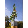 Meister Plant Tower 150 x 25 x 25 cm -
