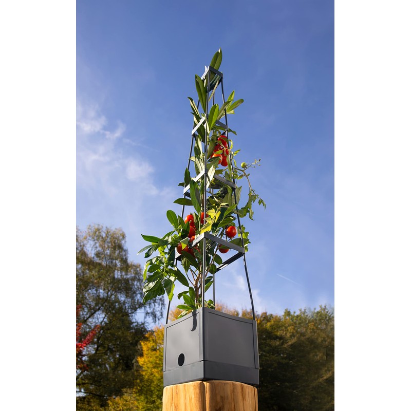 Meister Plant Tower 150 x 25 x 25 cm -