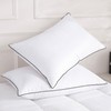 Feather Down Pillows Queen Size Set of 2, Luxury Hotel