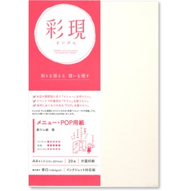 PCM Takeo 1742032 Printer Paper, Saiken, Menu and Pop, A4 Shin-Dan, Snow